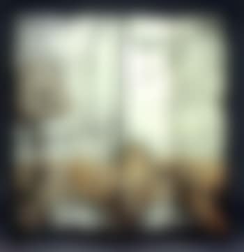 Ile de la Cite (preview)