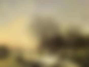 Paysage d'hiver (preview)