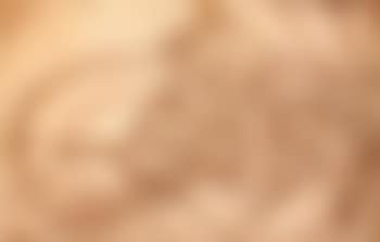 Study (preview)