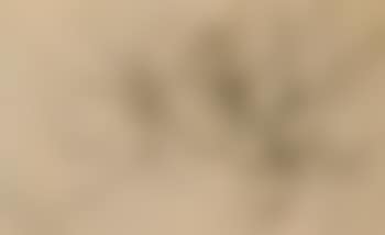 Volumes (preview)