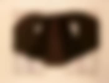 Costume mask (preview)