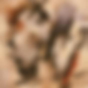 Untitled (preview)