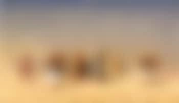Recrues egyptiennes traversant le desert (preview)