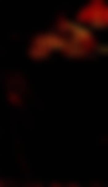 Woman reading by lamp light (preview)