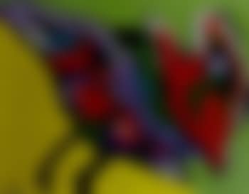 Big bird (preview)