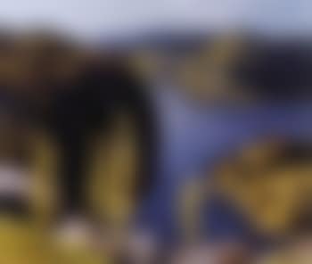 October morning (preview)