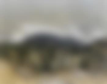 On the Rockingham Road (preview)