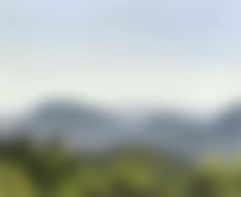 Morning light, west of Dwight (preview)