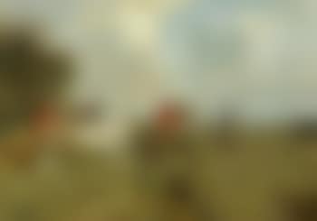 Tally Ho (preview)
