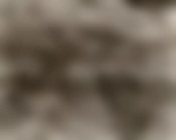 Grand Canyon (preview)