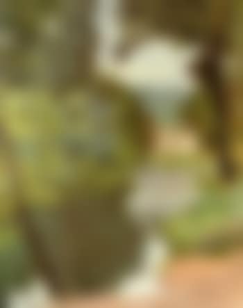Riverside landscape (preview)