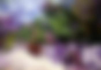 Gurzuf in summer (preview)