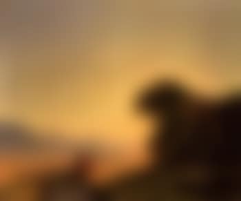 Daybreak over the cornfields (preview)