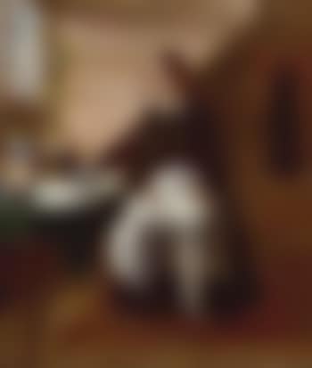 Song of the shirt (preview)