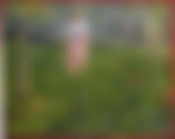 Woman in a garden (preview)