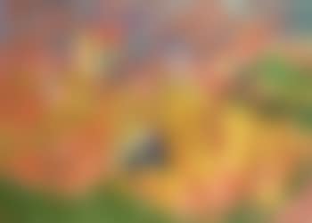 Jardinier (preview)
