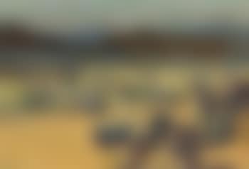 Vendanges (preview)