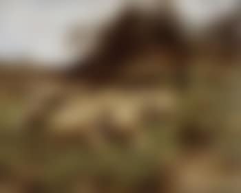 Shepherd, end of autumn (preview)