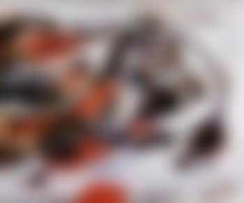 Animaux en vol (preview)