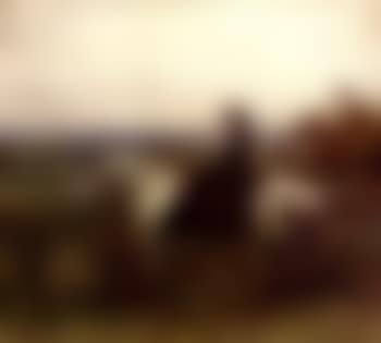 Portrait of an Equestrienne, Lady Munnings on her grey mare (preview)