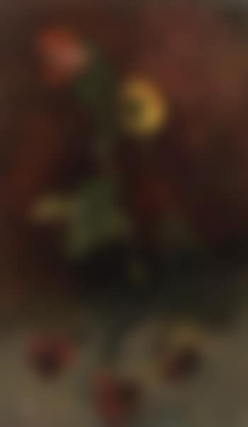 Carnations and roses (preview)