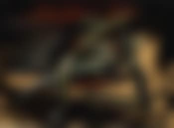 Fish (preview)