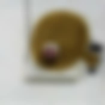 Yellow image (preview)