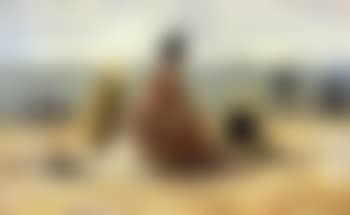 Repos, plage de Trouville (preview)