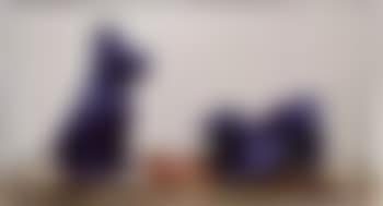 Two blue dogs (preview)