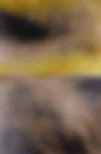 Poem of Kaipara flat 3 (preview)