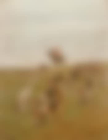 On the scent (preview)