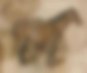 Nobby a bridled pony (preview)