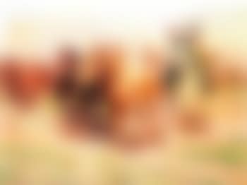 Shepherding (preview)