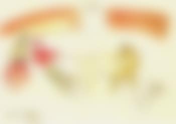 Bullfight (preview)