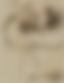 Little miniature (preview)