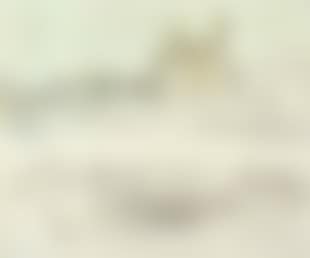 Collection of landscapes (preview)