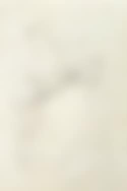 Portrait of seated woman (preview)
