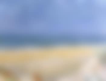 Seascape with Ile de Re (preview)