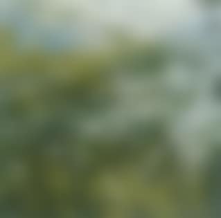 Spring landscape (preview)