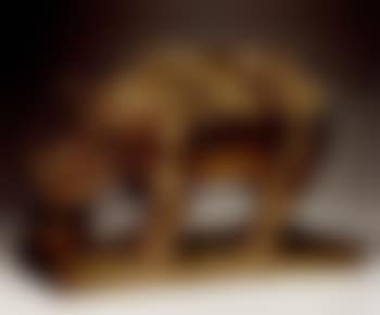 Rhinoceros habille en dentelle (preview)