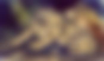 Tiger (preview)