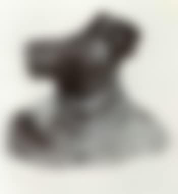 Bust (preview)