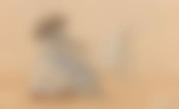 Femme a la plage (preview)