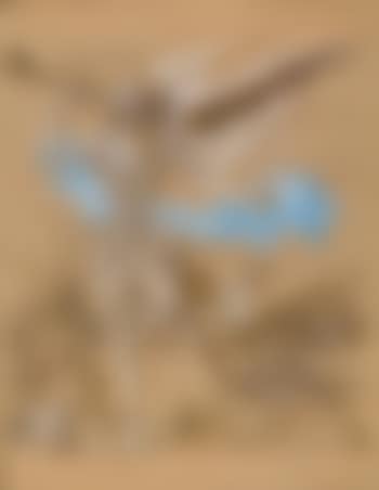 L'ange musicien (preview)