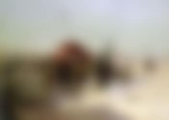 Procession nuptiale dans le sud Algerien (preview)