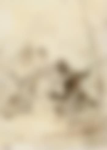 Illustration to Walter Scott (preview)