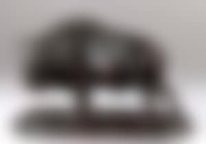 Bison ox (preview)