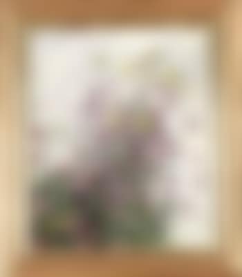 Wild flowers (preview)