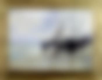 Le cheval de Nieuvport a maree basse (preview)