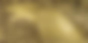 Tete de cheval (preview)
